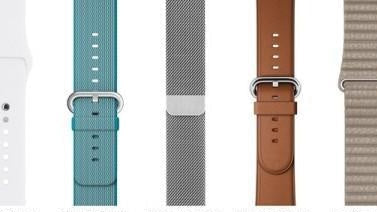 The Ultimate Guide to Choosing a Strap That Does It All