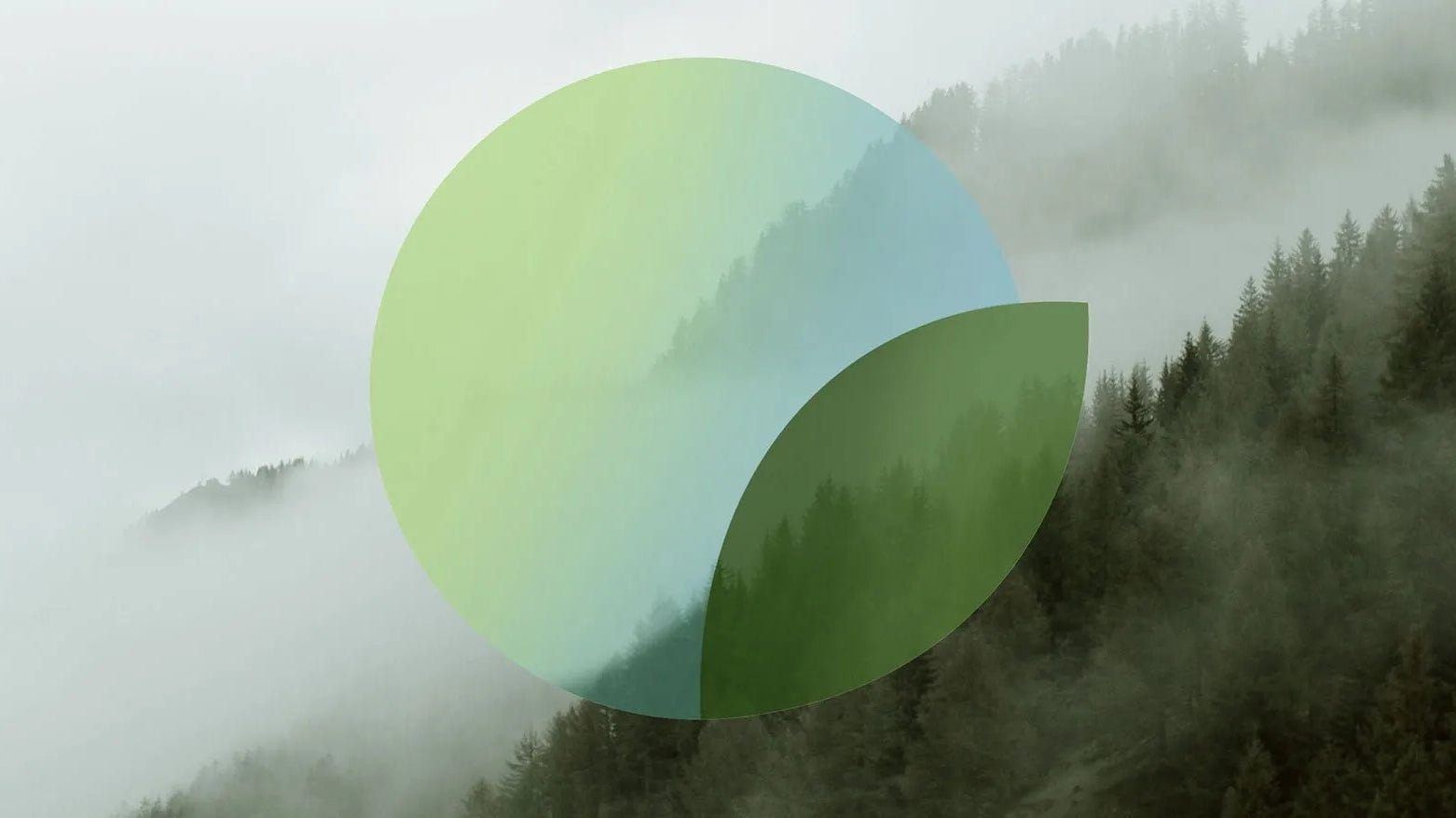 Carbon neutral shipping - Wishdoit Watches