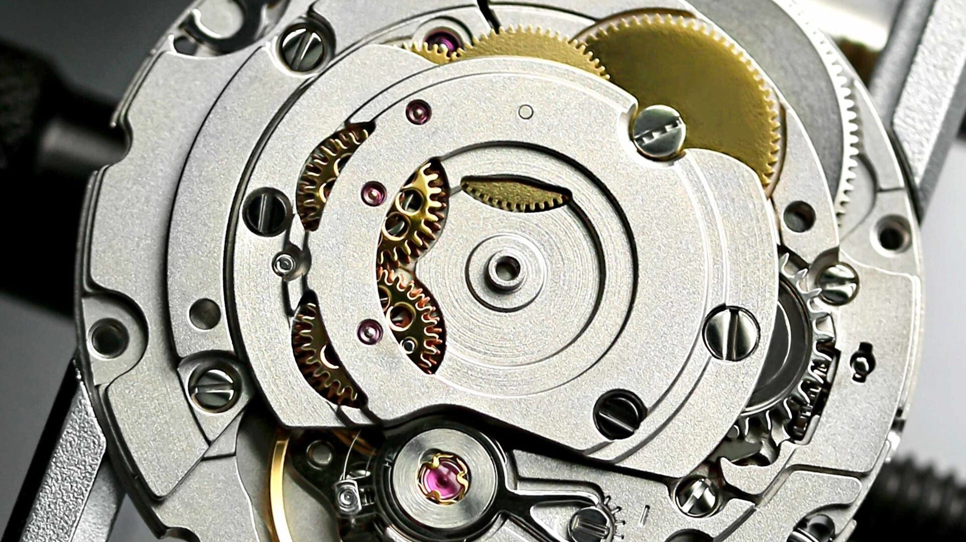 Inside the PT5000: Is This the Most Underrated Automatic Movement on the Market?