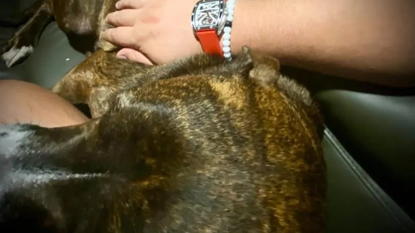 Which crowd is not suitable for wearing mechanical wrist watch? - Wishdoit Watches