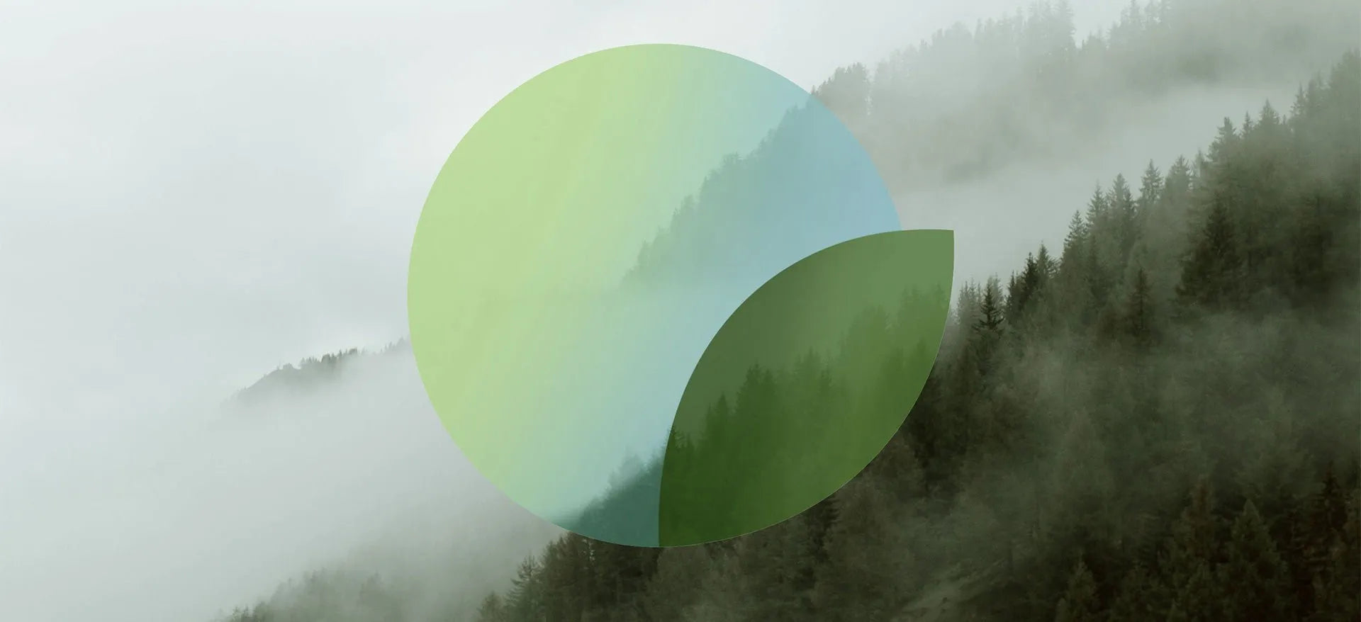 Carbon neutral shipping - Wishdoit Watches