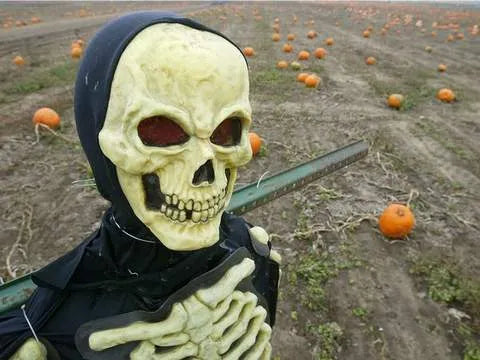 Did the previous pirates spend Halloween? - Wishdoit Watches